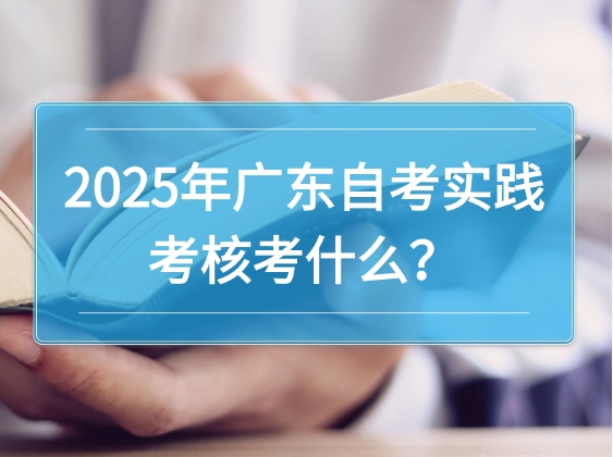 2025年广东自考实践考核